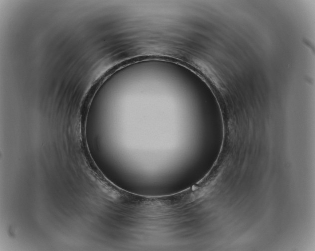 X0000097790931200803141826