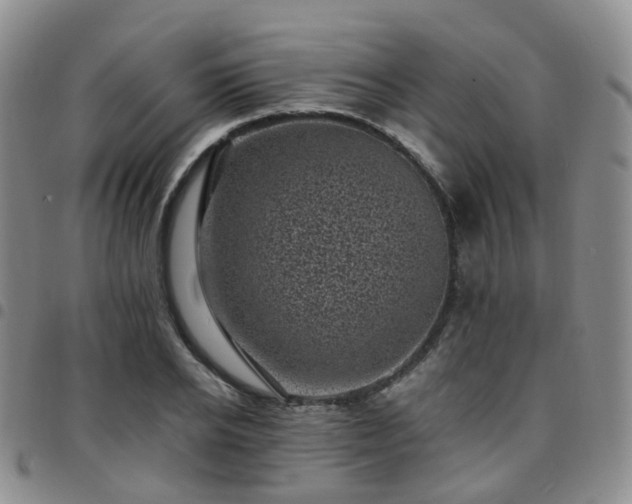 X0000097790934200803141826