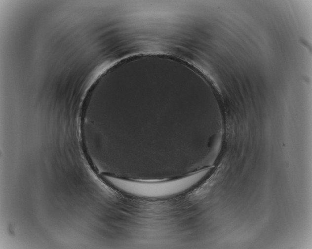 X0000097790935200803141826