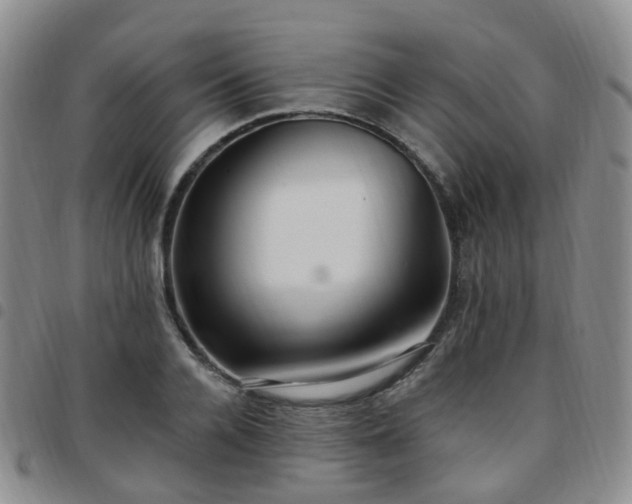 X0000097790936200803141826