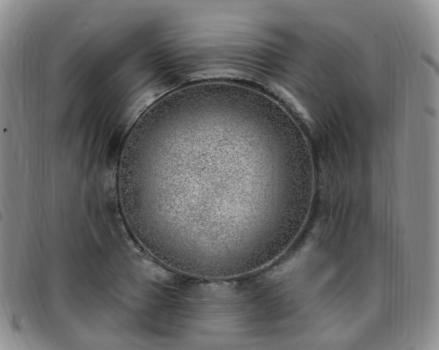 X0000097790937200803141826