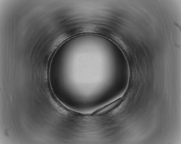 X0000097790938200803141826