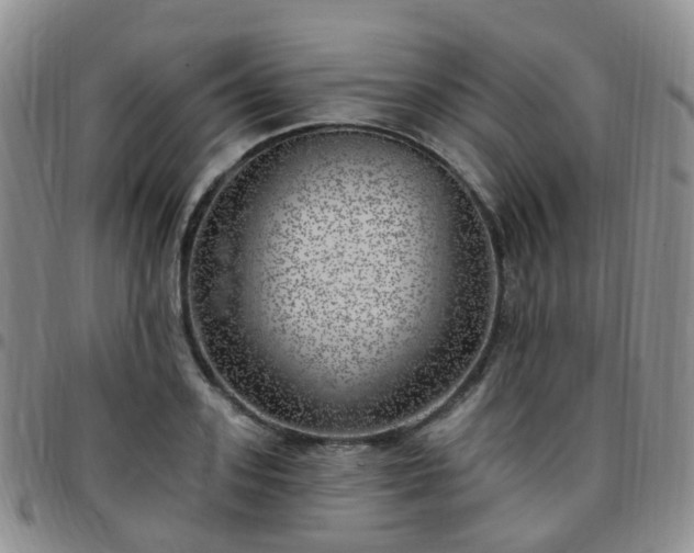 X0000097790939200803141826