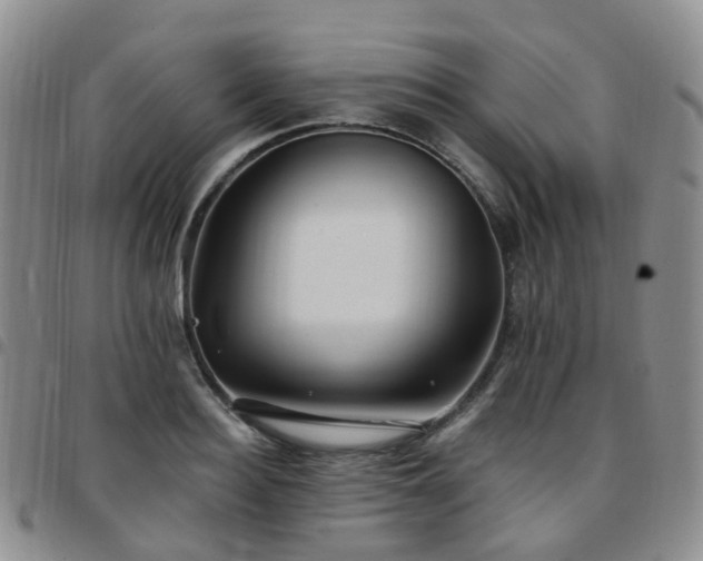 X0000097790940200803141826