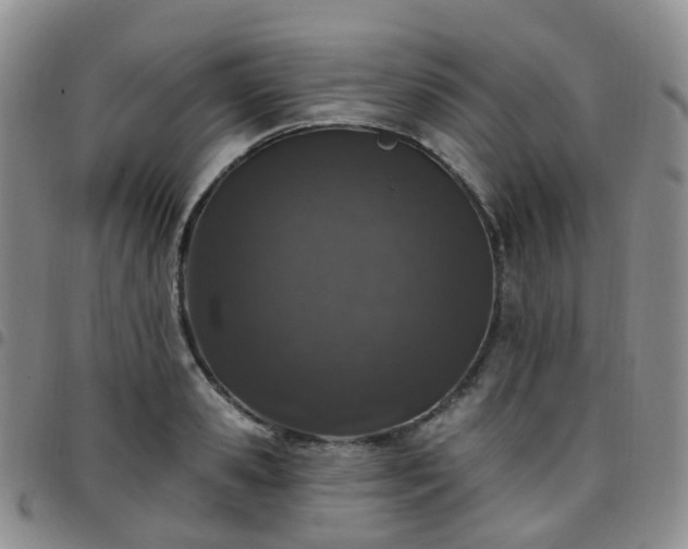 X0000097790941200803141826