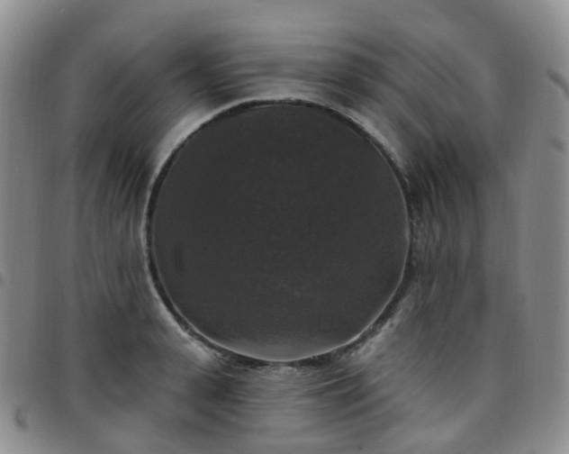 X0000097790943200803141826