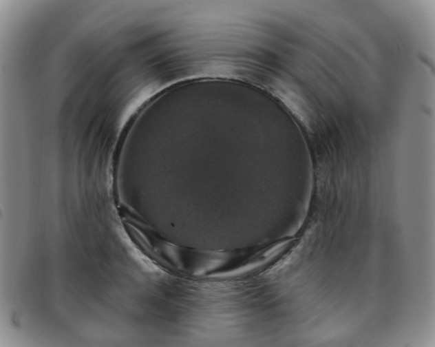 X0000097790944200803141826