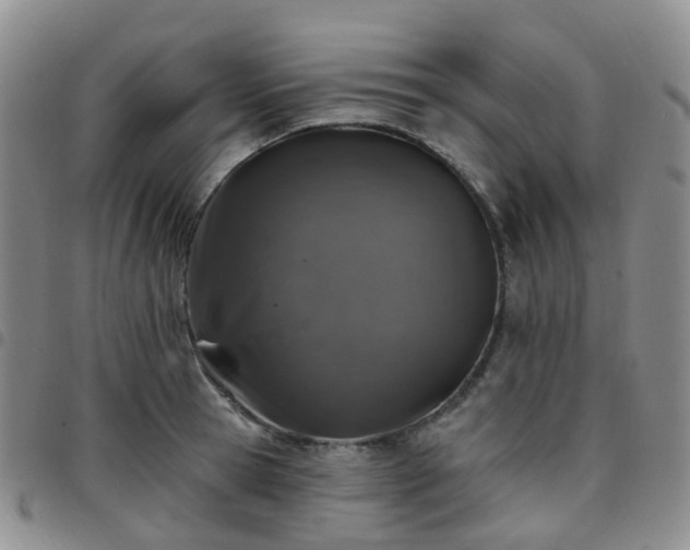 X0000097790945200803141826