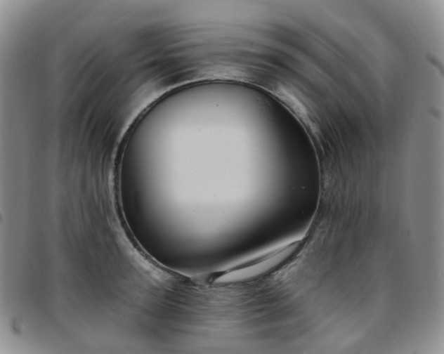 X0000097790947200803141826
