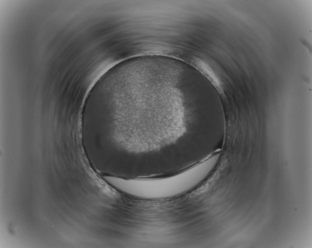 X0000097790948200803141826