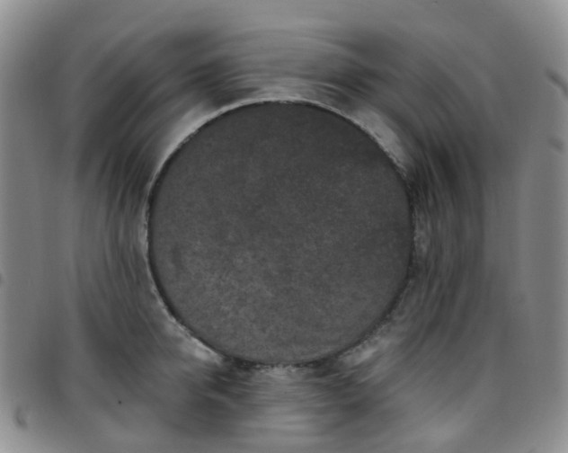 X0000097790950200803141826