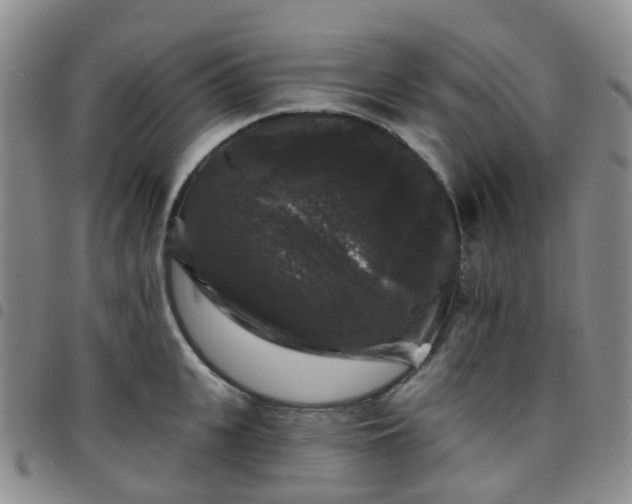 X0000097790951200803141826
