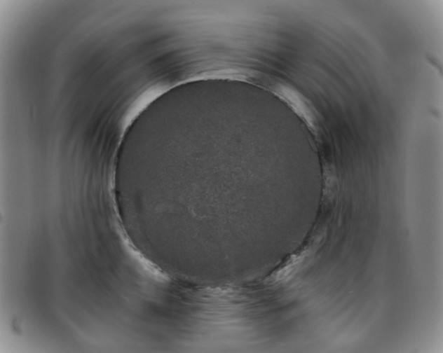 X0000097790952200803141826