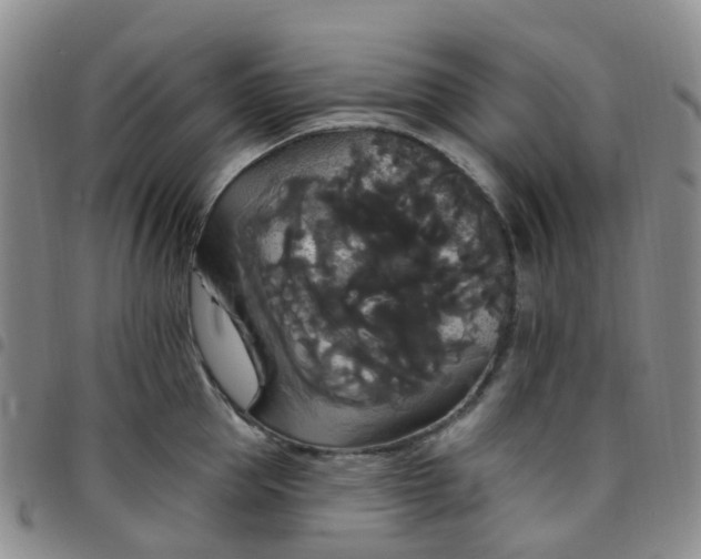 X0000097790953200803141826