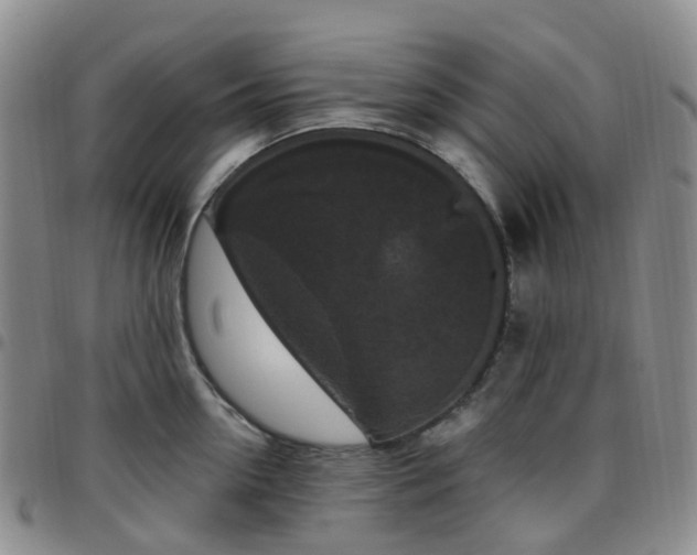 X0000097790954200803141826