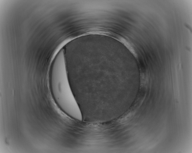 X0000097790955200803141826