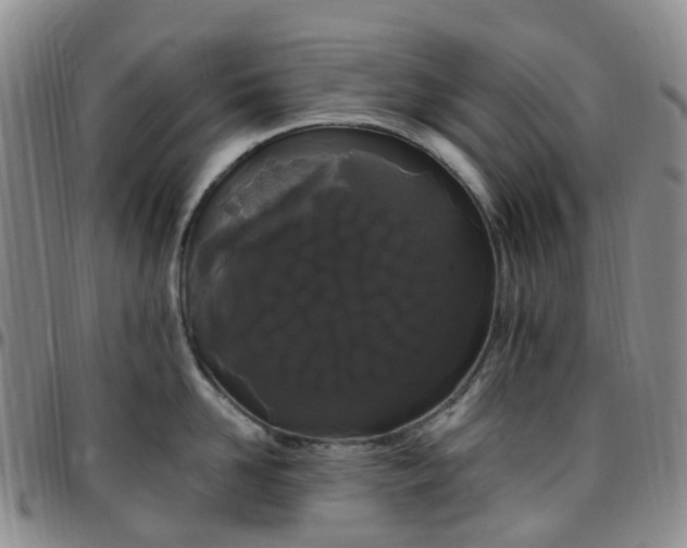 X0000097790958200803141826