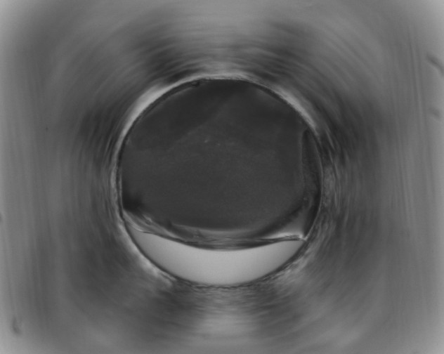 X0000097790959200803141826