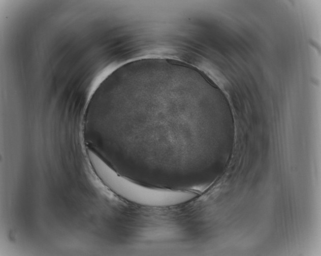 X0000097790960200803141826