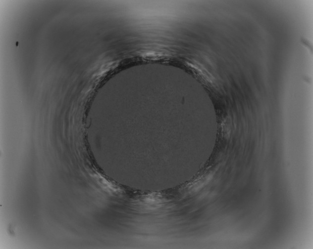 X0000097790961200803141825