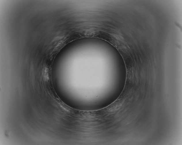 X0000097790962200803141825