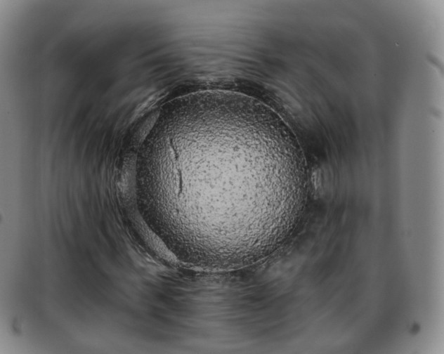 X0000097790963200803141825