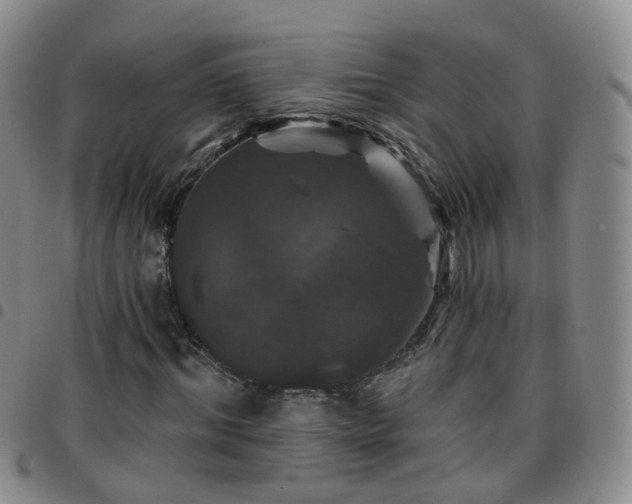 X0000097790964200803141825