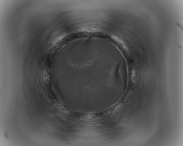 X0000097790966200803141825