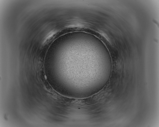 X0000097790967200803141825