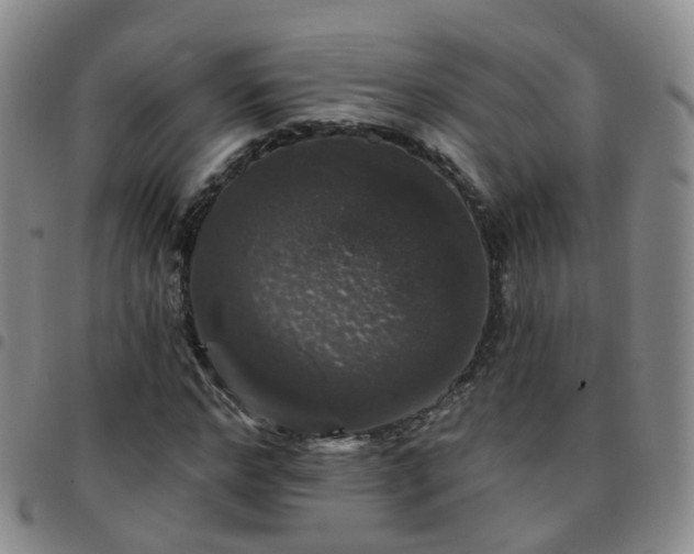 X0000097790968200803141825