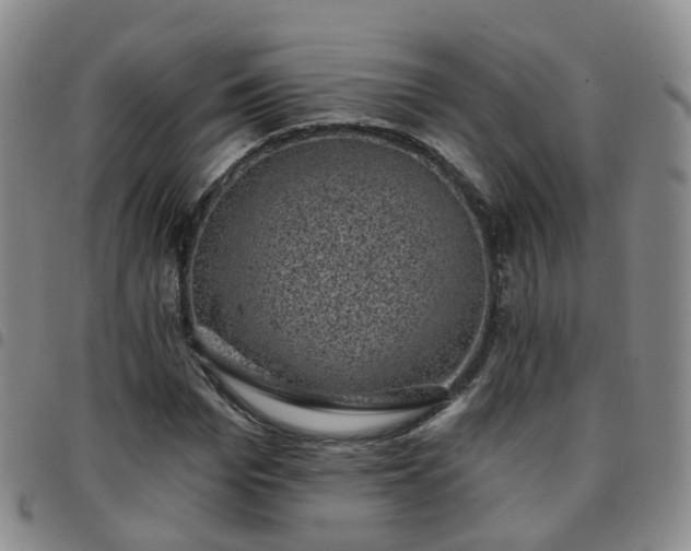 X0000097790969200803141825