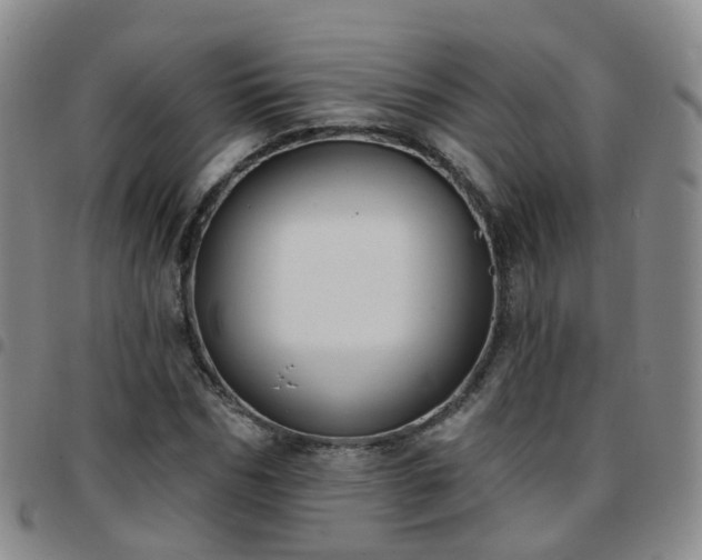 X0000097790970200803141825