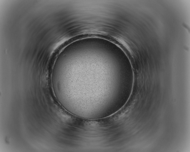 X0000097790971200803141825