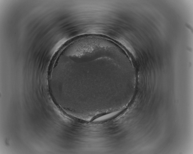 X0000097790972200803141825