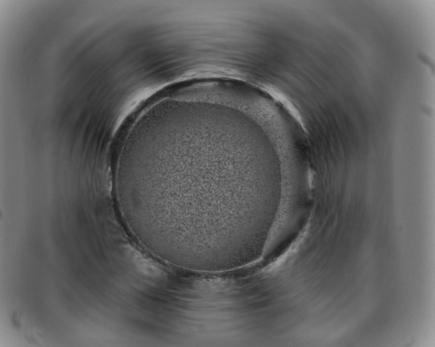 X0000097790973200803141825
