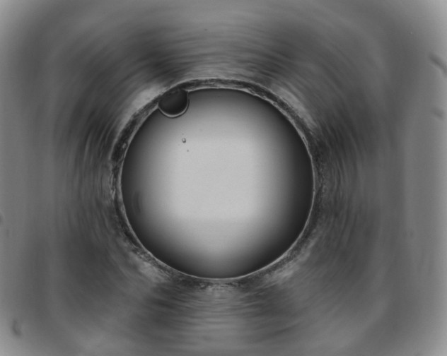 X0000097790974200803141825