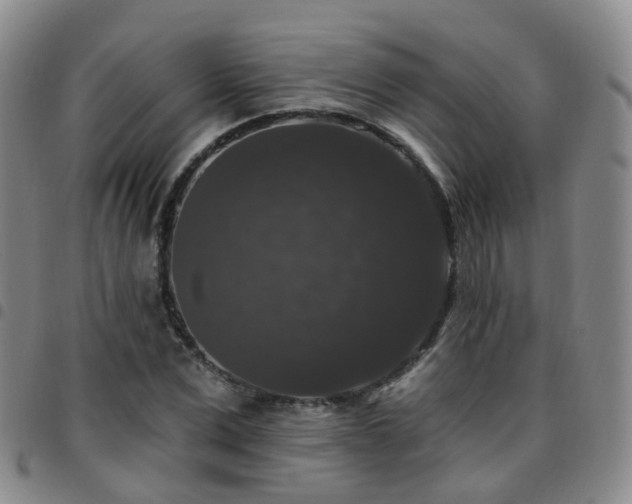 X0000097790975200803141825