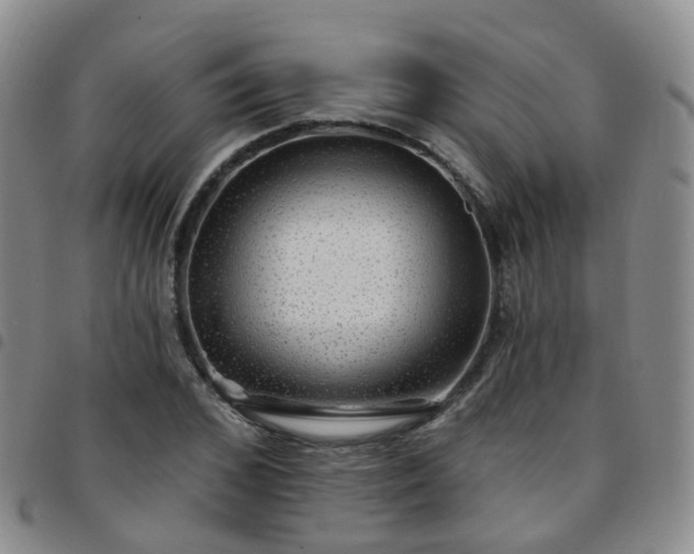 X0000097790976200803141825
