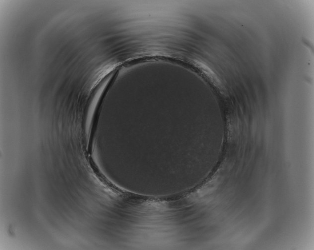 X0000097790977200803141825