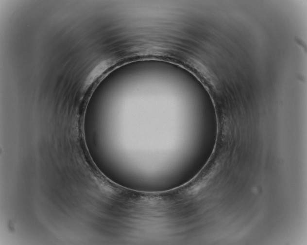 X0000097790978200803141825