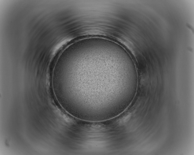 X0000097790979200803141825