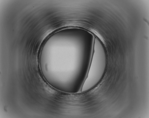 X0000097790980200803141825