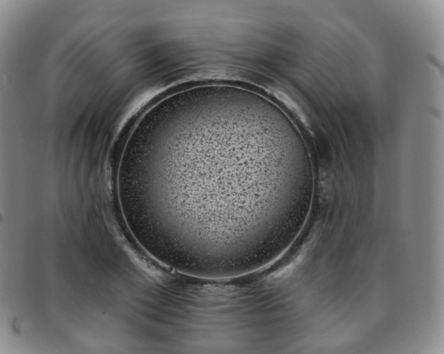 X0000097790981200803141825