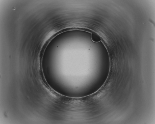 X0000097790982200803141825