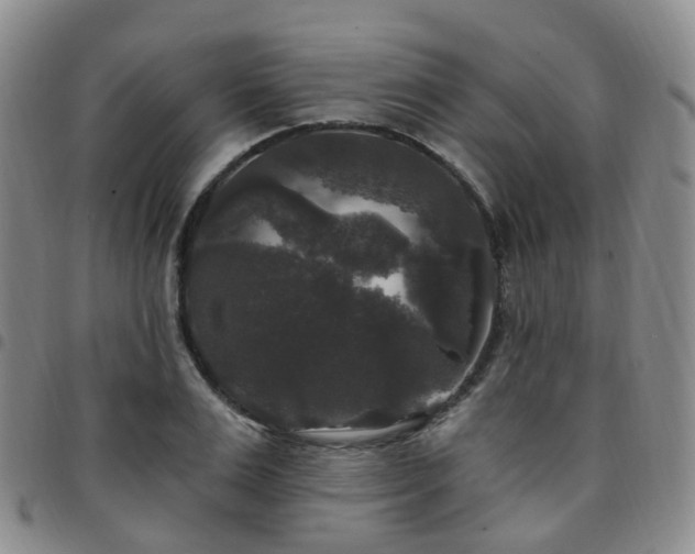 X0000097790983200803141825