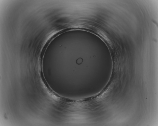 X0000097790984200803141825
