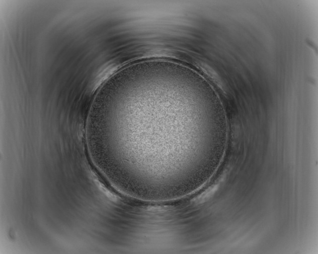 X0000097790985200803141825