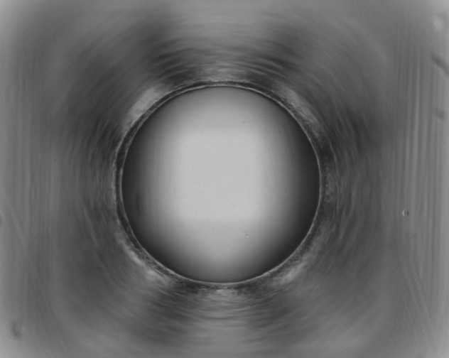 X0000097790986200803141825