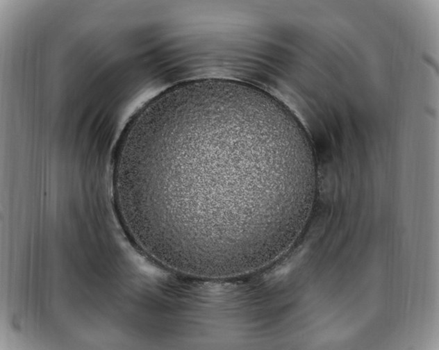 X0000097790987200803141825