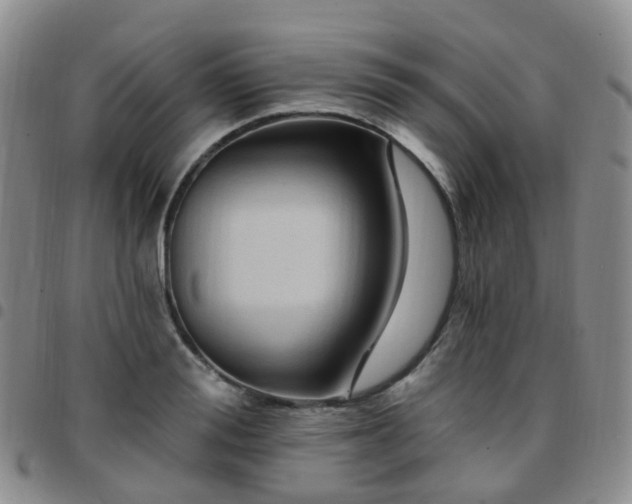 X0000097790988200803141825